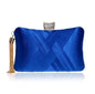 Tassel Metal Small Day Clutch