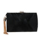 Tassel Metal Small Day Clutch