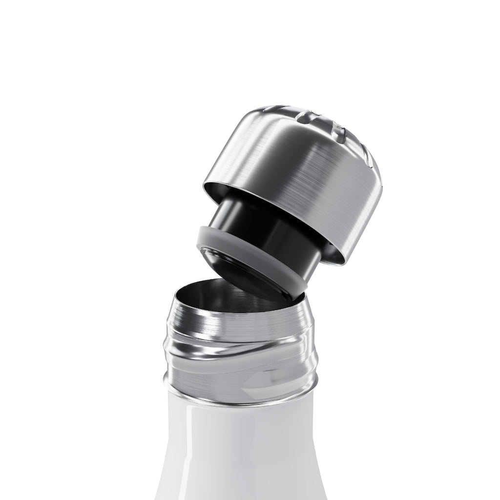 BN Stainless Steel Water Bottle, 17oz