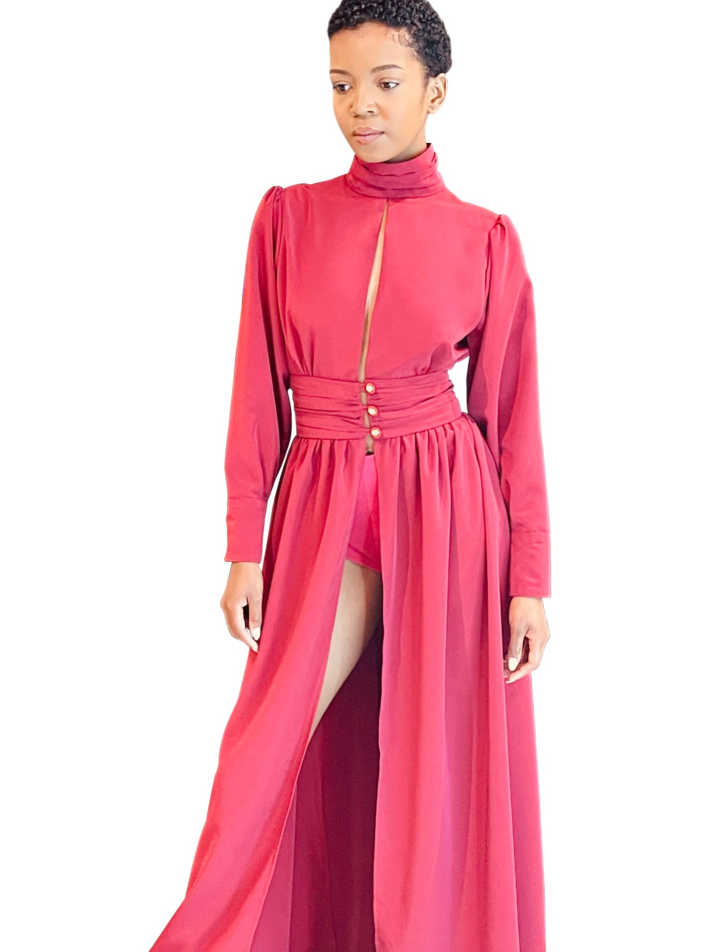 Turtleneck Hollow Out Backless Long Sleeve Pleated Dress
