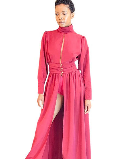 Turtleneck Hollow Out Backless Long Sleeve Pleated Dress